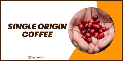 Single Origin Coffee What You Need To Know Espressorivo