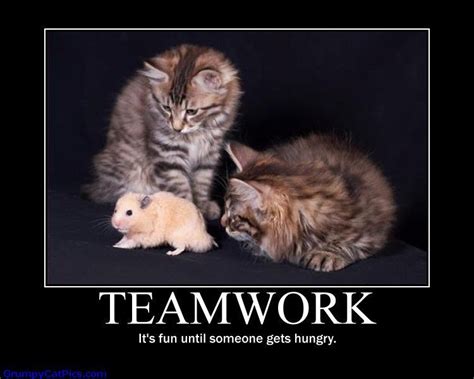 Teamwork Funny Quotes Teamwork Its Fun Until