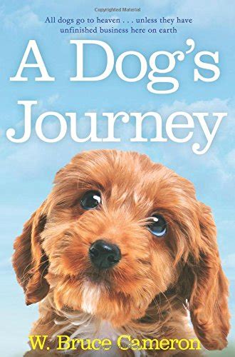 D0wnl0ad Ebook Read Now A Dogs Journey Pdf Epub Kindle Phamkhoabang