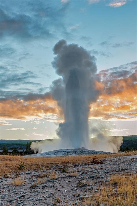 Old Faithful Geyser Eruption At Sunset Yellowstone National Park Photograph By Doug Holck Fine