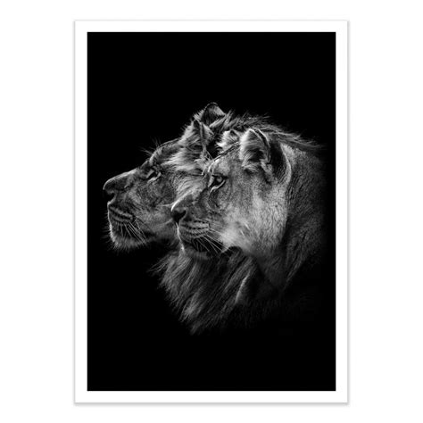 Art Poster Lion And Lioness Portrait Laurent Lothare Dambreville