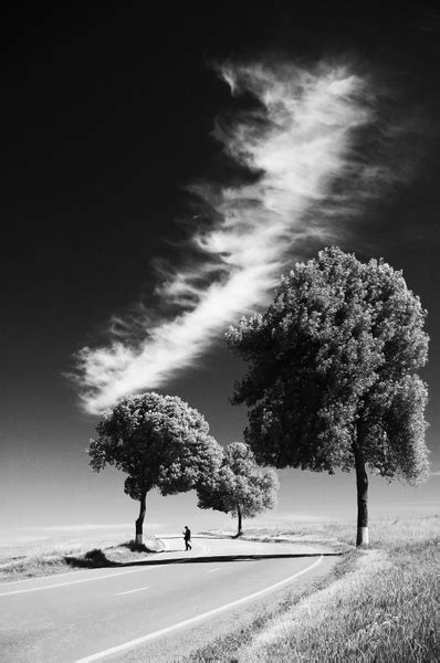 Black And White Cold Contrast Fog Infrared Landscape Photos In 