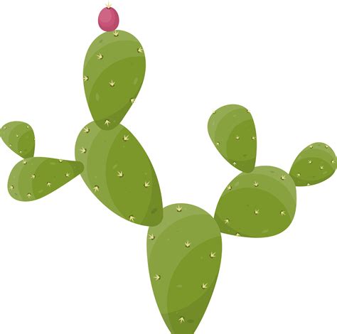 Free Cartoon Desert Cactus Plant 21611992 Png With Transparent Background