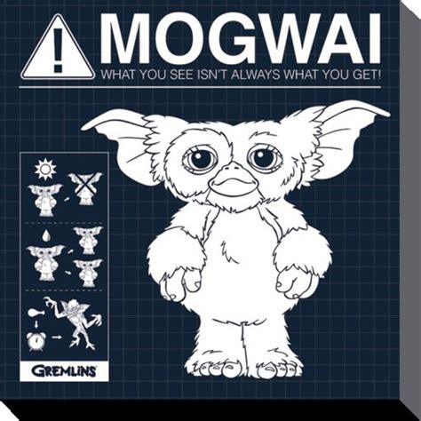Gremlins Mogwai Rules Canvas Print 40 X 40 Cm Gremlins Art