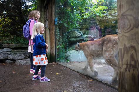 Delight In The Wide Wonderful World At The Cincinnati Zoo And Botanical