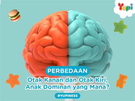 Perbedaan Fungsi Otak Kanan Dan Otak Kiri Anak Dominan Mana Yupi