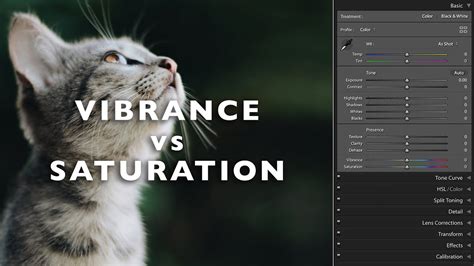 Vibrance Vs Saturation Explained What S The Difference Youtube