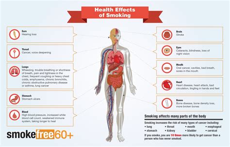 Smoking Affects Many Parts Of Your Body Think About How Quitting Will