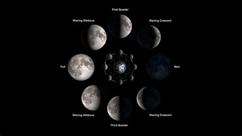 Phases Of The Moon Handout