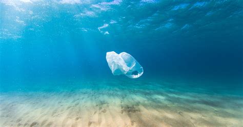 Plastic Bag Floating In The Ocean True North Living