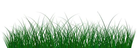 Grass Free Transparent Png Download Pngkey