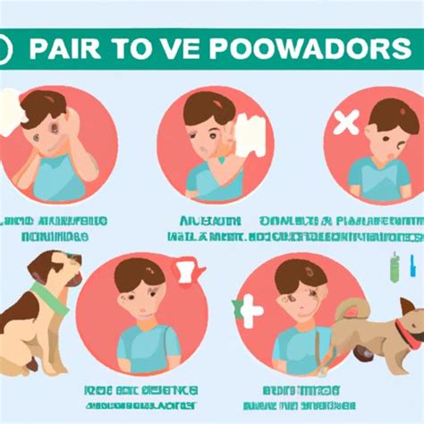 Symptoms Of Parvo In Humans 10 Warning Signs To Watch Out For The