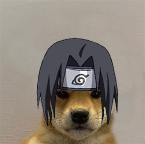 Dog With Naruto Hat Loankas
