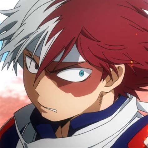 The 15 Best Shoto Todoroki Quotes From My Hero Academia