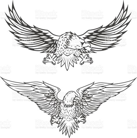 Line Drawing Eagle Tattoo Designs Perangkat Sekolah