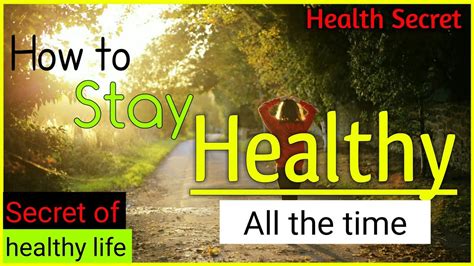 how to stay healthy all the time 5 best tips to stay healthy and be fit healthsecret