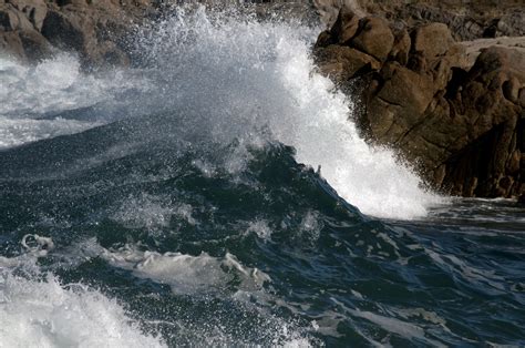 Wave In Motion Free Stock Photo Public Domain Pictures