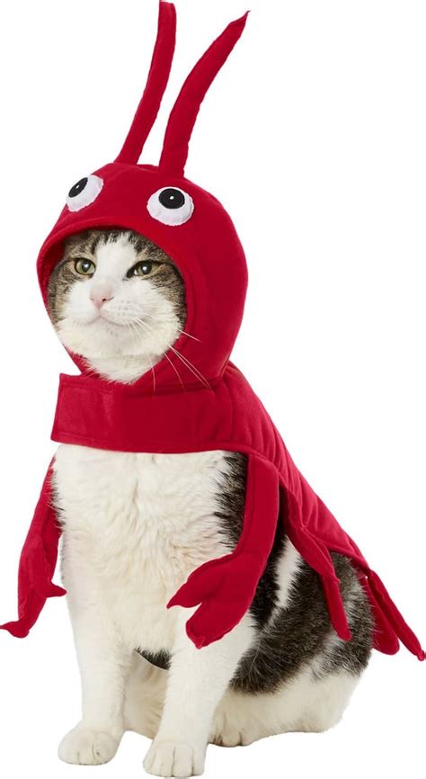 Frisco Red Lobster Cat Costume Best Costumes For Cats Popsugar Uk