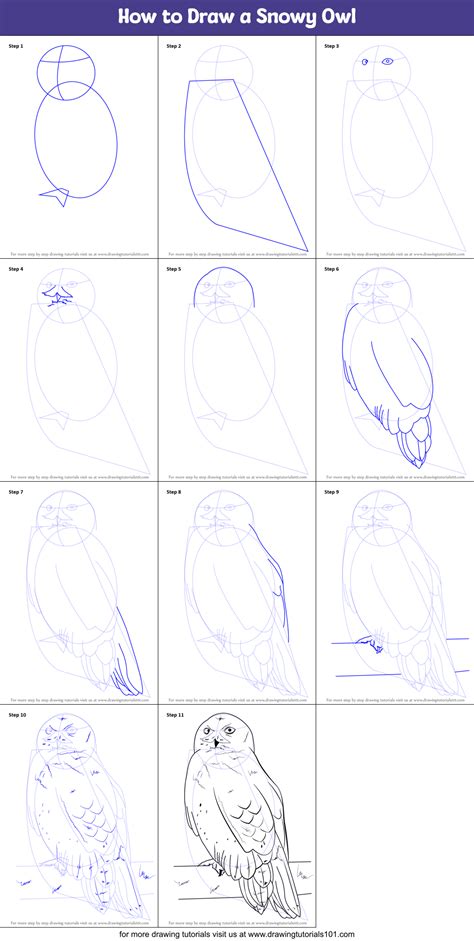 How To Draw A Snowy Owl Printable Step By Step Drawing Sheet