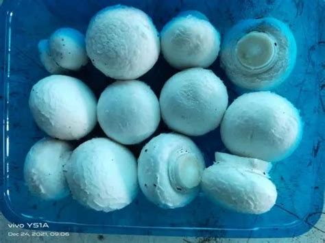A Grade Pan India White Fresh Button Mushrooms 200 Gm Packing