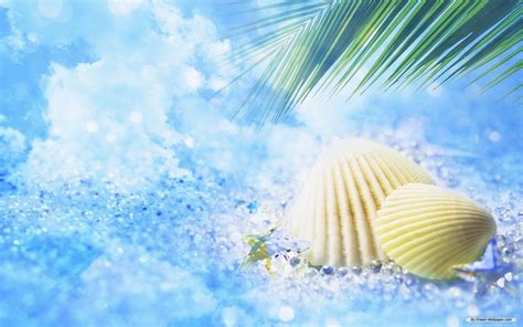 Free Download Summer Wallpapers For Desktop 1680x1050 For Your