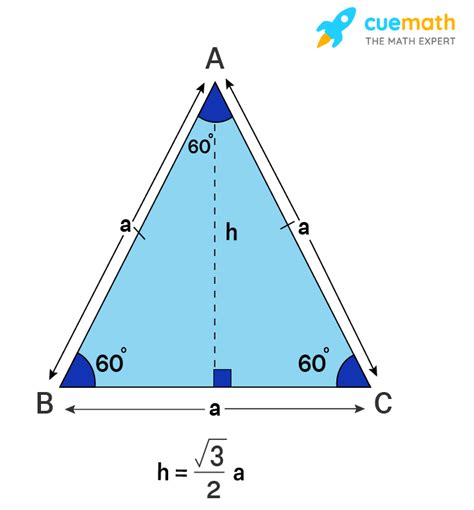 The Side Length Of An Equilateral Triangle Is 6 Cm What Is The Height