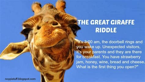Giraffe Riddle Goes Viral On Facebook