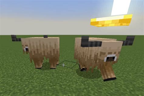 Wooly Cows Bedrock Minecraft Texture Pack