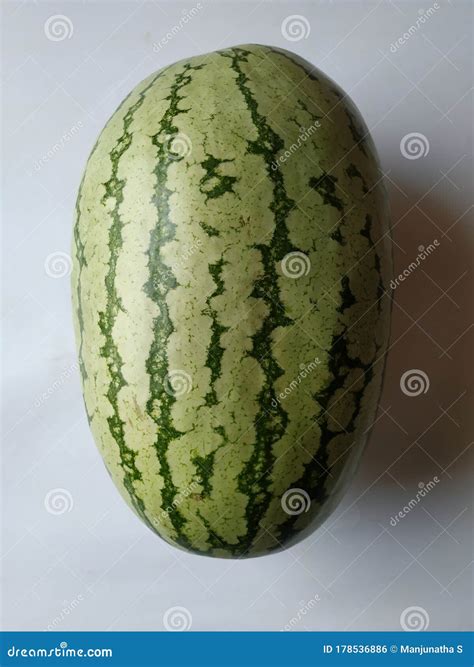Dark And Light Green Striped Big Whole Fruit Of Water Melon On White