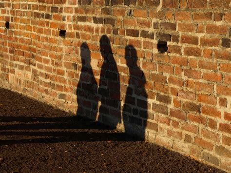 Shadows On The Wall Free Photo Download Freeimages