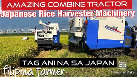 A Day In A Rice Fields Amazing Rice Harvester Harvesting Rice In