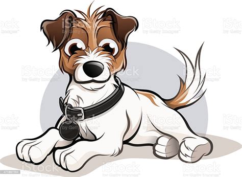 I get a lot of questions about how we got him used to it and how is it to travel with both a. Jack Russell Dog Cartoon stock vector art 471897204 | iStock