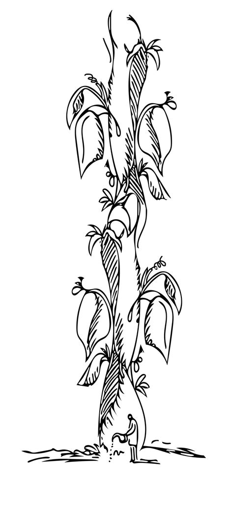 Beanstalk Drawing At Getdrawings Free Download