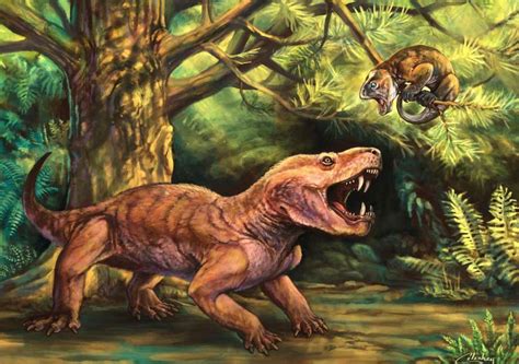 Paleontologists Discover ‘monstrous Sabre Toothed Fossils From Russia