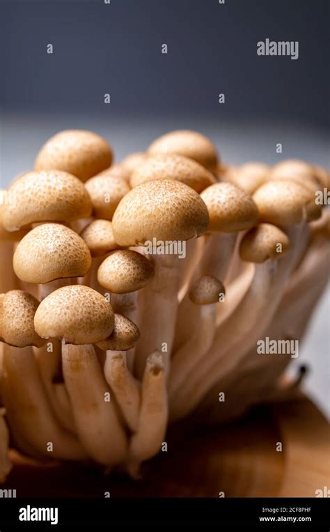 Fresh Uncooked Buna Brown Shimeji Edible Mushrooms From Asia Rich In