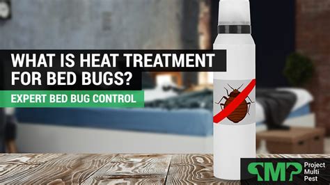 What Is Heat Treatment For Bed Bugs Project Multi Pest