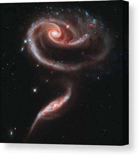 Arp 273 Galaxy Pair Hubble Canvas Print Canvas Art By Astronomy T Shop