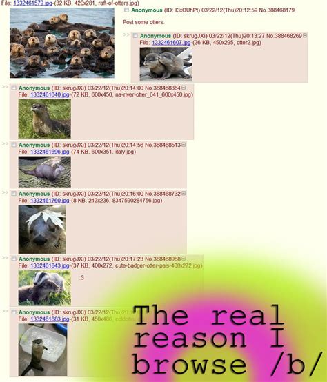 File 1332461579 Ipg 32 KB 420x281 Raft Of Otters 1 B Anonymous