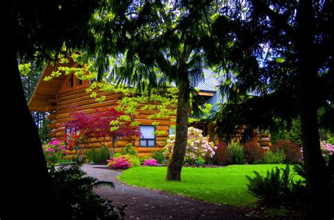 Log Cabin In Spring