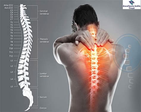 Best Orthopedic And Spine Surgery In Delhi