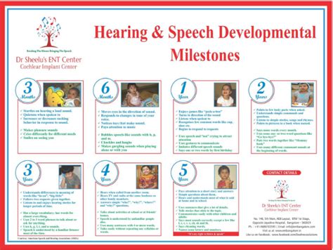 The period from 12 to 24 months of age is generally about words and connecting specific. Speech and hearing milestones in babies and children - Dr ...