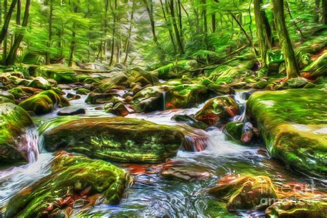 The Emerald Forest 15 Photograph By Dan Stone Fine Art America