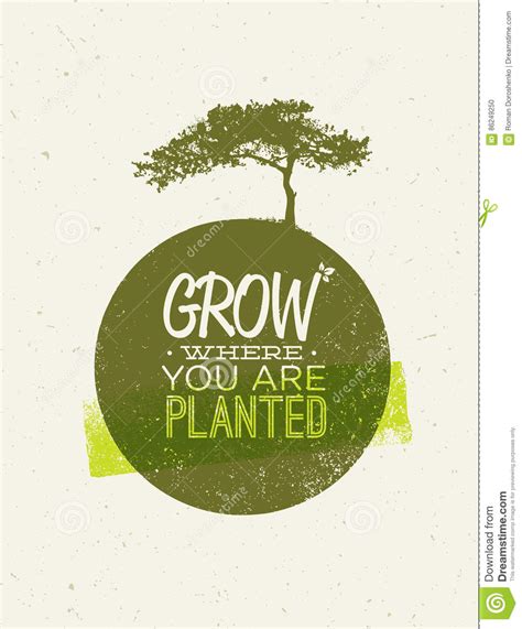 Grow Where You Are Planted Motivation Quote On Recycled Paper