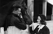 Sergeant Murphy (1938) - Turner Classic Movies