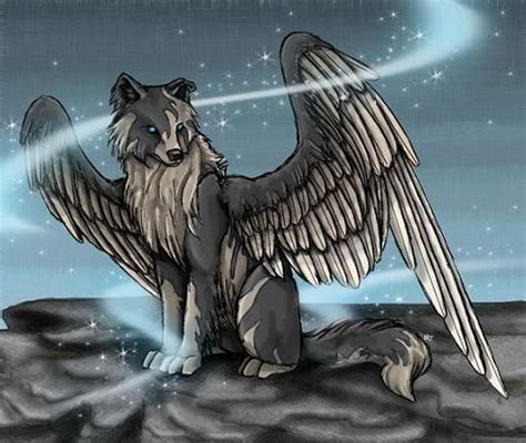 Pictures Of Winged Animals Wolves And Cats Anime Angel Wolf Photo