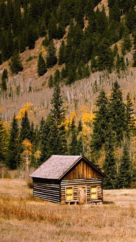 Forest Cabin Wallpapers Top Free Forest Cabin Backgrounds