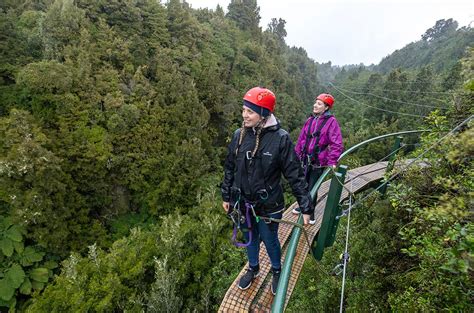 Save big and fast shipping on all canopies, outdoor canopies, pop up tents, carports and party tents. The Ultimate Canopy Tour - Rotorua Canopy Tours,