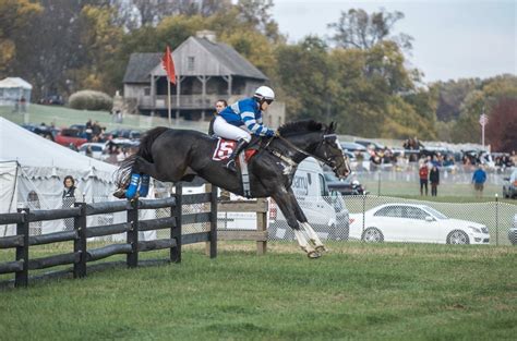 Steeplechase synonyms, steeplechase pronunciation, steeplechase translation, english dictionary definition of steeplechase. Flying horses: Steeplechase racing comes to Canterbury ...