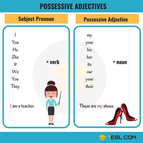 Pronomes Possessivos Adjetivos Em Inglês Possessive Adjectives Mobile Legends