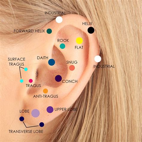 Which Cartilage Piercing Should I Get Freshtrends Blog Ear Piercings Chart Types Of Ear